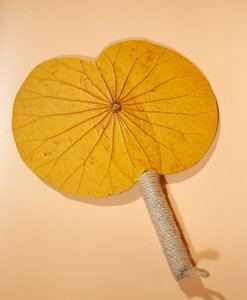 Abanico de Hoja de Loto a Precio Atractivo, Hecho a Mano con Hojas de Loto, Artesanía Duradera, Productos de Alta Calidad - Product Image 1