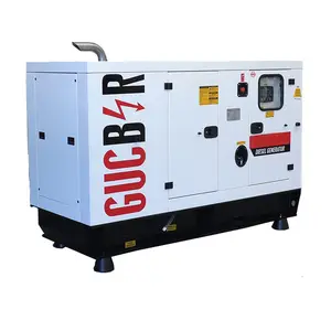 50 kVa 40 kW Diesel Generator Set with Customization Options Alternators Canopies Monohase Triphase 50Hz 60Hz Switchable Genset