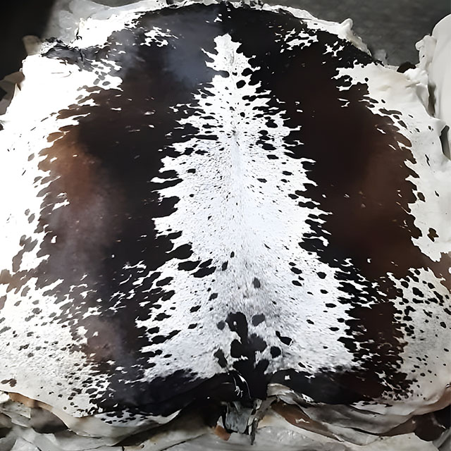 Mezcla de marrón chocolate intenso y negro con bordes blancos