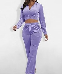 Crop Top Hooded Zipper Velvet Velour Tracksuits Stacked Flare Jogging <b>Set</b> Winter Purple Color Velvet Track Suit Sweat Suits <b>Set</b> - Product Image 5