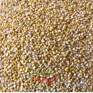 Lentejas Moong Dal Amarillas, Grado Común, Frescas y Partidas |   Frijol Mung en Granel 30 kg |   Marca Kyaari, Exportador de India, 12 Meses de Vida Útil, Normal - Product Image 3