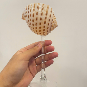 Authentique Verre Coquillage Vietnamien 2026 pour Présentation Professionnelle de Pâtisseries, Créant une Style de Table Unique 99 Gold Data - Product Image 2