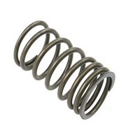 Kit de ressorts de soupape pour moteur Massey Ferguson 31745121 31744131 735521M1 735525M1 A3152 A4248 Pièce diesel MF35 MF50 MF135