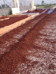 VENTE CHAUDE EXTRAIT D'ANIS ÉTOILE 100% POUDRE D'ANIS ÉTOILE DE QUALITÉ ALIMENTAIRE PURE DU VIET NAM - Product Image 4