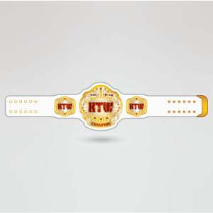 Ceinture de championnat KTW Tag Team, plaques métalliques dorées sur quatre côtés, détails complexes, sangle blanche, équipement de lutte personnalisé - Product Image 2