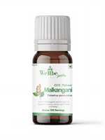 Extrait liquide de graines de Malkangani de qualité alimentaire, extrait d'herbes sauvages