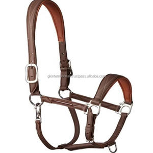 Licou de cheval en cuir rembourré cousu fantaisie haut de gamme avec muserolle de forme anatomique et matériel en laiton solide - Product Image 1