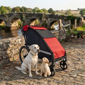 Poussette pour animaux de compagnie KS-6200 3 en 1, remorque pour vélo pour chien, cadre en alliage d'aluminium, légère et facile à plier, OEM/ODM, roues pivotantes EVA de 8 pouces - Product Image 1