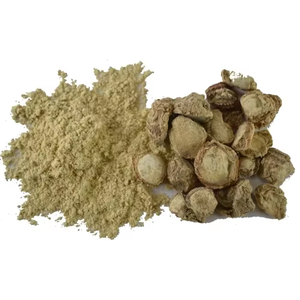 Poudre de Kapoor Biologique la Plus Vendue OEM ODM, Poudre de Kapoor Pure et Naturelle pour Usage Spirituel, Fabrication d'Encens et Rituels de Temple - Product Image 2