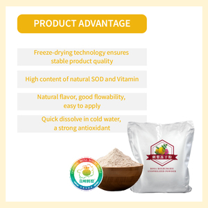 Poudre de Rosa Roxburghii Tratt 100% soluble dans l'eau, extrait de fruit riche en vitamine C pour compléments alimentaires - Product Image 3