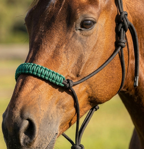 HM GLOBAL Corde en nylon tressé PP couleur personnalisée, durable, pour étrier western et collier de tête de cheval, équipement d'entraînement - Product Image 6