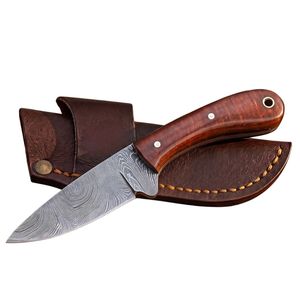 Couteaux de chasse fiables avec lame en acier tranchante, poignée ergonomique, idéaux pour le camping, la randonnée, le bushcraft et la survie en milieu sauvage. - Product Image 1
