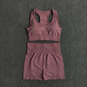 Vêtements de sport pour femmes, ensemble de yoga à séchage rapide, tenue de sport pour la gym, tenue de course, vêtements de sport actifs - Product Image 2
