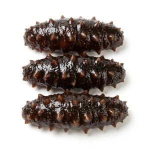 Pepino de Mar Premium / Pescado Seco de Teat Black, Pedido Mínimo de 10MT para la Industria de Procesamiento de Alimentos, Suministro a Granel para Exportación - Product Image 3