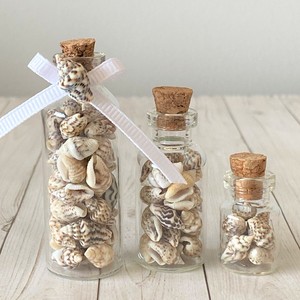 Decoración Oceánica, Botellas con Conchas Marinas, Precio Económico, Coleccionables, Botellas Rellenas de Conchas Marinas Naturales - Product Image 2