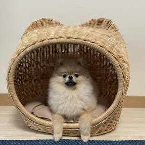 Muebles de ratán ODM para mascotas, casa para gatos de interior y exterior, casas para perros al precio más bajo, nido para mascotas hecho a mano - Product Image 2