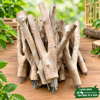 Perchoirs en bois de café naturel pour oiseaux, durables et écologiques, à branche simple ou double - Liam