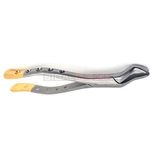 Premium Manual Dental Extracting Forceps 10S Upper Molar Universal Extraction Instruments German Stainless Steel Serrated Beaks - Product Image 4