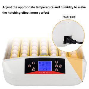Incubatrice Automatica per Pollame da 42 Uova, Standard USA, con Visore per Uova - Realizzata in PC di Alta Qualità per Anatre - Product Image 3