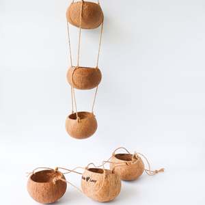 Maceta biodegradable de cáscara de coco para jardín, accesorios de decoración para el hogar, mini maceta de orquídeas, venta al por mayor - Product Image 5