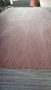 Contrachapado de Madera Dura FOMEX Vietnam, Espesor de 6-24 mm, 1 Año de Garantía, Primera Calidad, Moderno, para Interiores, Chapa E1 Okume - Product Image 2