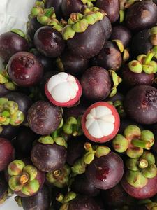 มังคุดอบแห้งแบบแช่แข็งคุณภาพพรีเมียมจากเวียดนาม รสหวานกรอบเป็นธรรมชาติ คุณภาพส่งออก ราคาดีที่สุดสำหรับขายส่ง - Product Image 6