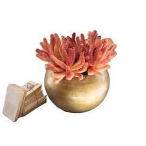 Maceta de Metal hecha a mano rústica, jarrón de urna de flores Chapado en latón, jarrón decorativo de mesa de Metal hecho a mano - Product Image 1