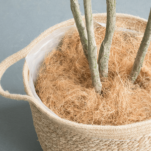 Fibra de Coco 100% Natural |   Fibra Cruda Ecológica para Colchones, Agricultura y Aplicaciones Industriales - Product Image 1