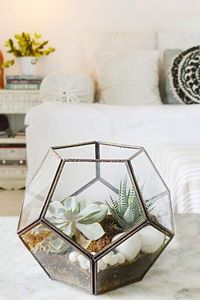 Geometric Glass <b>Box</b> With Gold Frame Polygonal Design Modern Style Transparent Decorative <b>Container</b> - Product Image 3