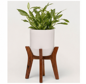 Supports de plantes modernes en bois massif pour salon et balcon – Ensemble de décoration intérieure – Prix le plus bas pour les fournisseurs en gros - Product Image 4