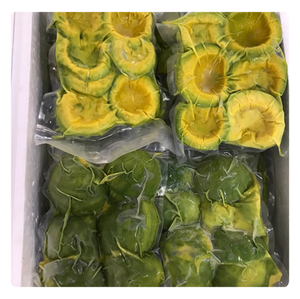 Avocat congelé |   Meilleur prix, avocat 100% biologique de haute qualité pour smoothies, en provenance du Vietnam - Product Image 3