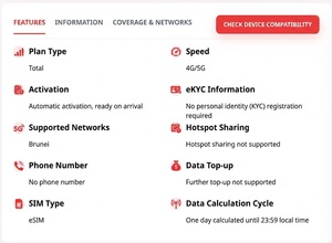 Forfait de données de voyage Brunei eSIM 4G/5G, 2 Go au total / 15 jours, 3 Go 5 Go / 30 jours, activation par code QR, livraison instantanée par e-mail - Product Image 2