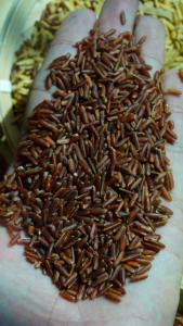 Arroz rojo orgánico de primera calidad para exportación e importación: arroz vietnamita de alta calidad, rico en antioxidantes, denso en nutrientes y de grano medio largo - Product Image 6
