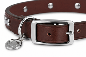 Collar de Cuero Personalizado para Perro con Soluciones de Marca Privada de Divine International - Product Image 5