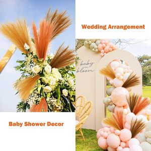 Erba della Pampa Arancione 30 pz 55 cm, Steli Soffici Artificiali Colorati, Decorazioni per Vasi, Centrotavola Autunnali per Matrimoni - Product Image 6