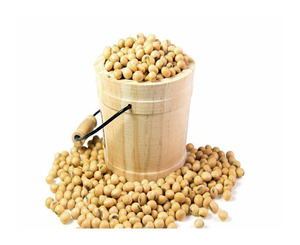 Proteína de Soya en Polvo de Alta Calidad Lista para Enviar al por Mayor, Ingrediente Alimenticio, Venta a Granel, Calidad Premium, Suministro de Fabricación OEM - Product Image 4