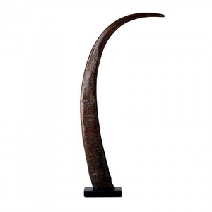 Decorative Show Piece Bull Horn for Table and Wall Decorative Long Ox Horn Natural Buffalo Horn for Home Decoration - Product Image 1