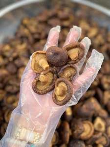 Croustilles de champignons shiitake frites sous vide du Vietnam pour des collations croustillantes, en sachets de détail, pour comptoirs de cafés et distribution en gros - Product Image 2