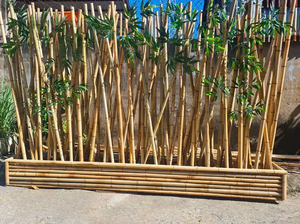 Varas de Bambú Natural de Alta Calidad de 0.5m a 5m, Varas de Bambú de Diámetro Personalizado para Soporte de Plantas de Jardín y Agricultura - Product Image 3