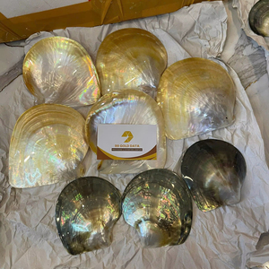 Pearl Of Mother Shell Smooth Vietnam Material For Musical Instrument Inlay Craft Accessories Decorative Plate Size 11cm-12cm - Product Image 1