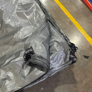 Lona plateada de PE es duradera, resistente, altamente impermeable, excepcionalmente fuerte y disponible en colores personalizables. - Product Image 6