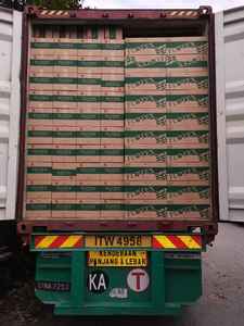 Flotex-Arrangement floral en mousse verte humide de qualité supérieure avec pouvoir de rétention d'eau pour la décoration de Pâques et d'Halloween, nouvel arrivage - Product Image 6