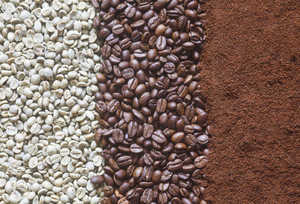 Café Robusta Tostado y Molido Especialidad de Vietnam, Certificación Orgánica USDA, Grado AA+, Exportación Directa de Fábrica al por Mayor - Product Image 4