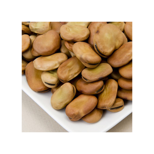 High Quality Broad <b>Beans</b>/ Fava <b>Beans</b> With Competitive - Product Image 3