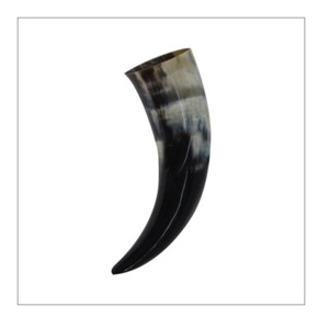 Cornes de buffle de la plus haute qualité, artisanat naturel, pièces décoratives, nouveaux objets artisanaux, cornes de buffle, cornes vikings - Product Image 4