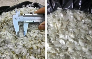 ลดราคาพิเศษ 2026 เกล็ดปลาเวียดนาม คุณภาพพรีเมียมสำหรับตลาดส่งออก ราคาถูกจากเวียดนาม - Product Image 4