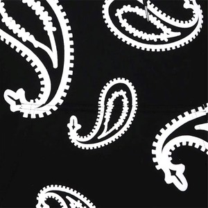 Sudadera con Capucha Negra para Hombre con Estampado Paisley Blanco, Corte Regular, Informal, de Algodón Tejido, Estilo Otoñal - Product Image 2