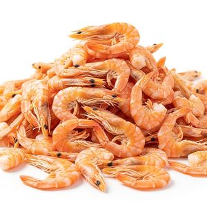 Camarones Secos Costeros Premium a Granel para Exportación con 95% de Frescura Natural para Importadores Globales de Mariscos - Product Image 6