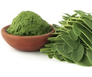POLVO DE MORINGA DE MARCA PRIVADA, EMBALAJE OEM, BEBIDA NATURAL PARA ESTIMULAR EL SISTEMA INMUNITARIO - Product Image 1