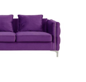 Luxury Furniture Latest Design Velvet Fabric Living Room Two Seater <b>Sofa</b>, Loveseat <b>Sofa</b> with Customise Color Options - Product Image 3